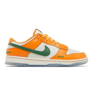 Florida A&M University x Dunk Low Rattlers