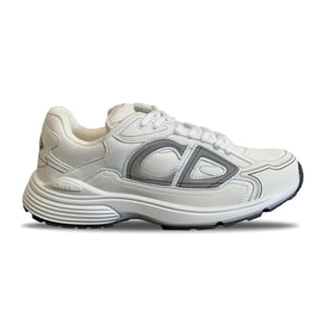Dior B30 White Grey